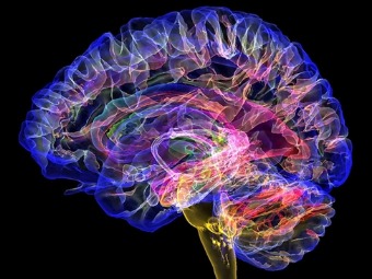 15p骚屄大脑植入物有助于严重头部损伤恢复